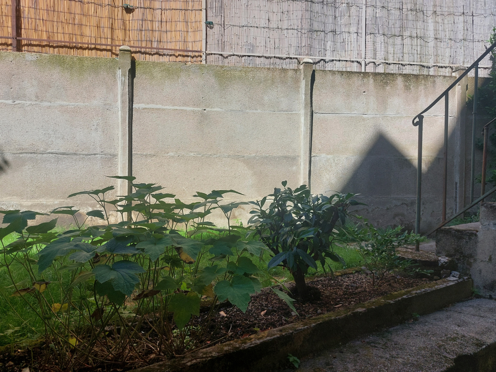 Image_, Appartement, Vichy, ref :1254