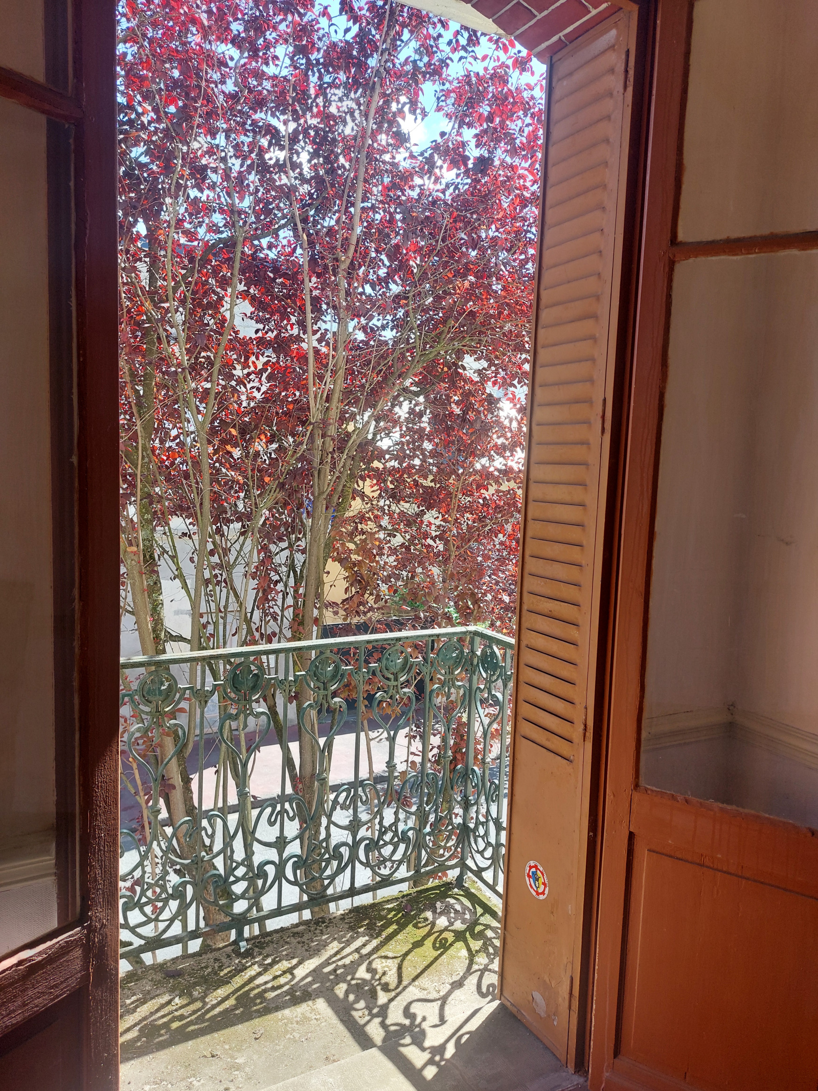 Image_, Appartement, Vichy, ref :1254