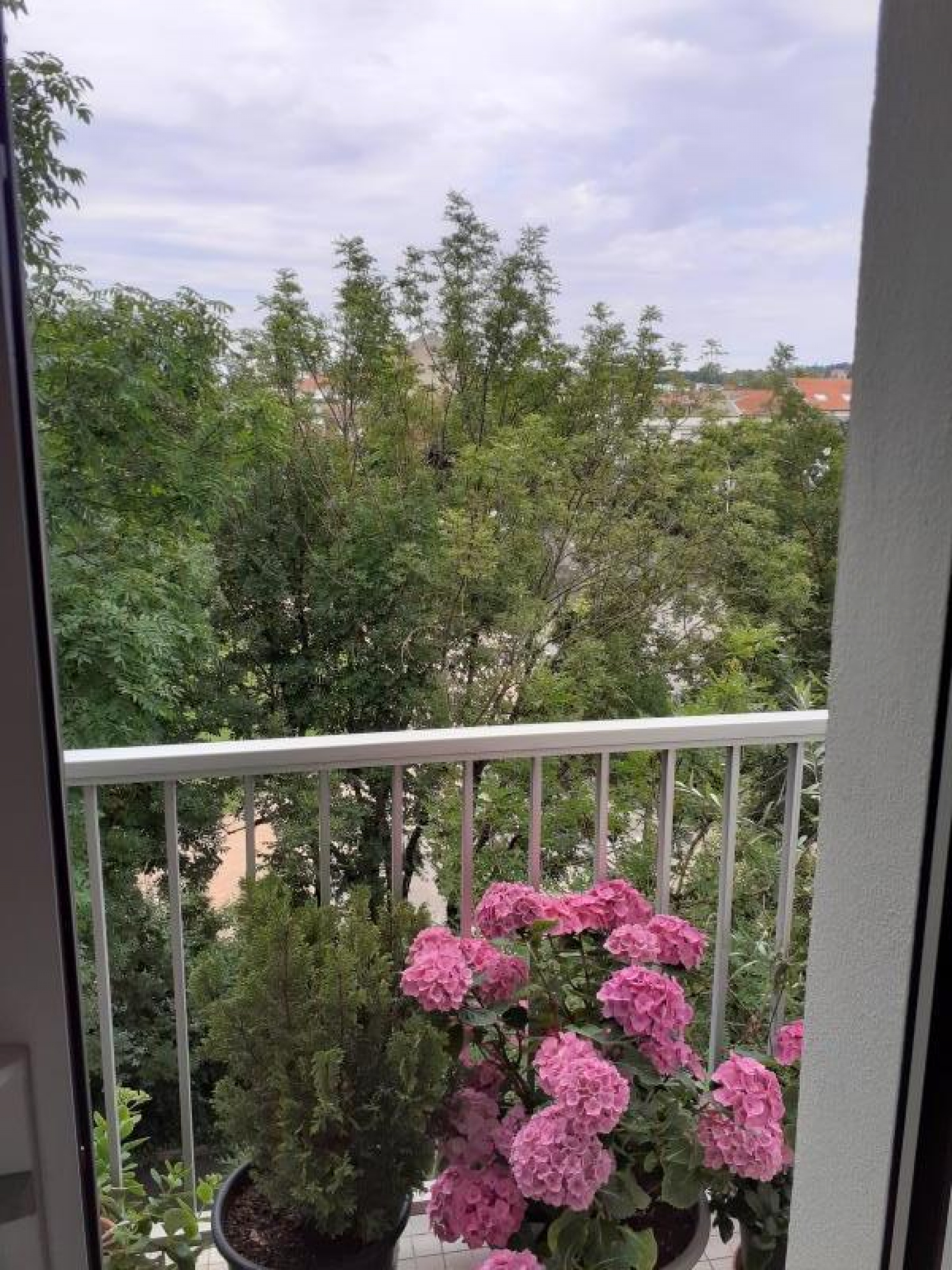 Image_, Appartement, Vichy, ref :1078