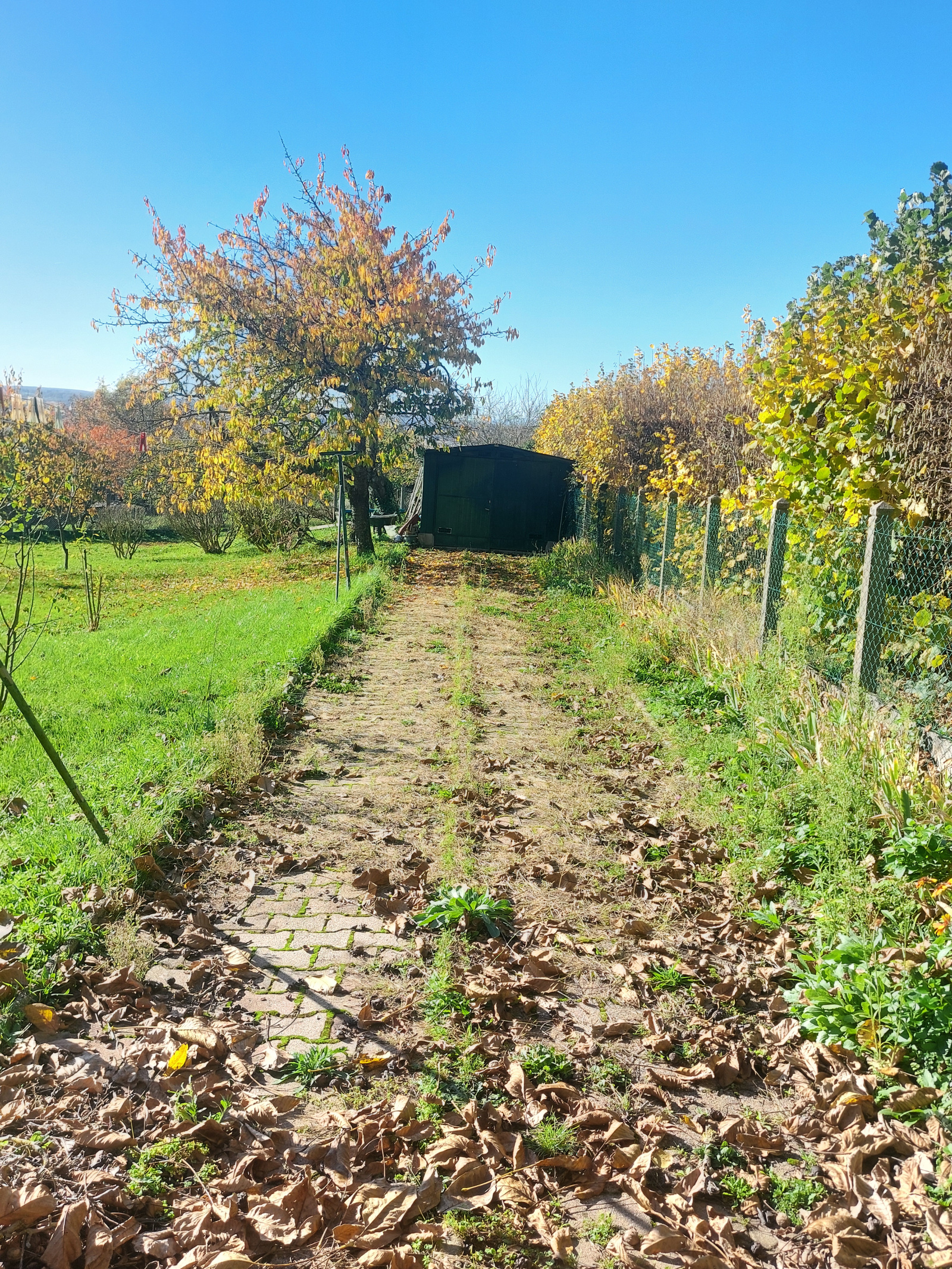 Image_, Maison, Cusset, ref :1263