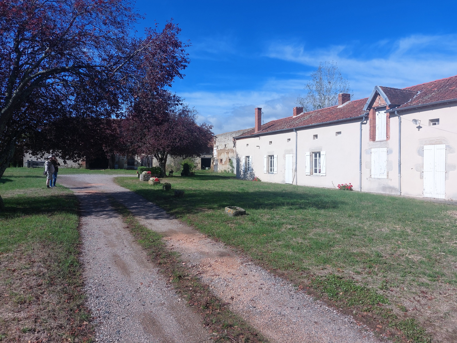 Image_, viager maison, Saint-Didier-la-Forêt, ref :1259