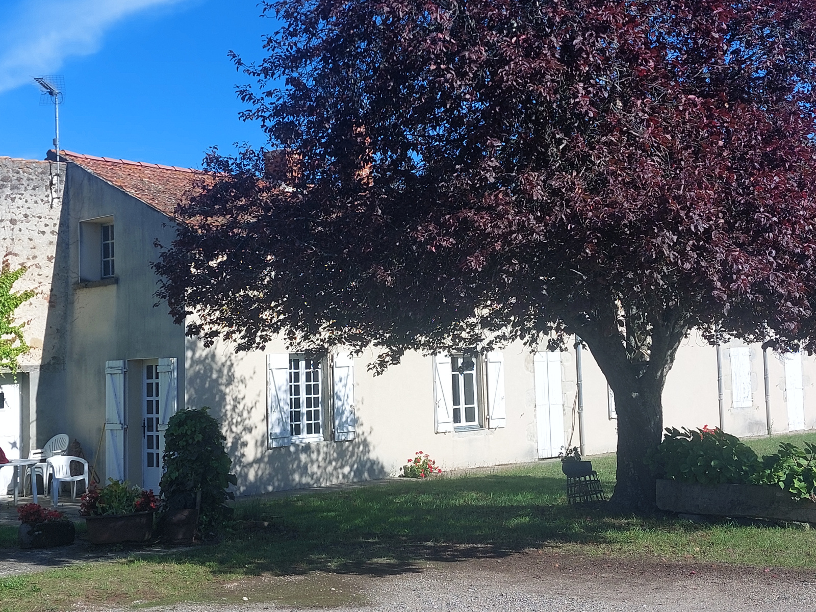 Image_, viager maison, Saint-Didier-la-Forêt, ref :1259