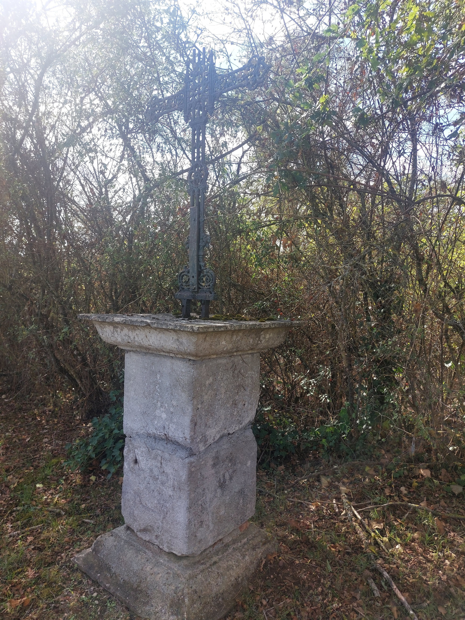 Image_, viager maison, Saint-Didier-la-Forêt, ref :1259