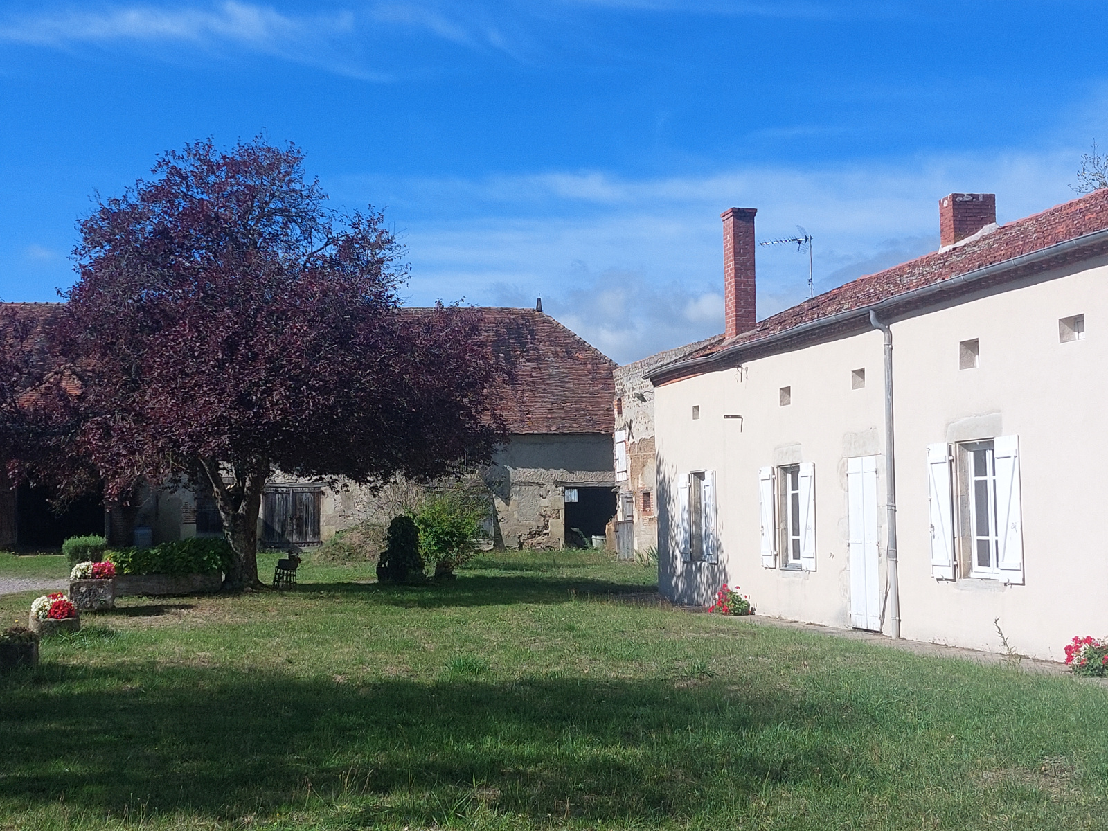 Image_, viager maison, Saint-Didier-la-Forêt, ref :1259