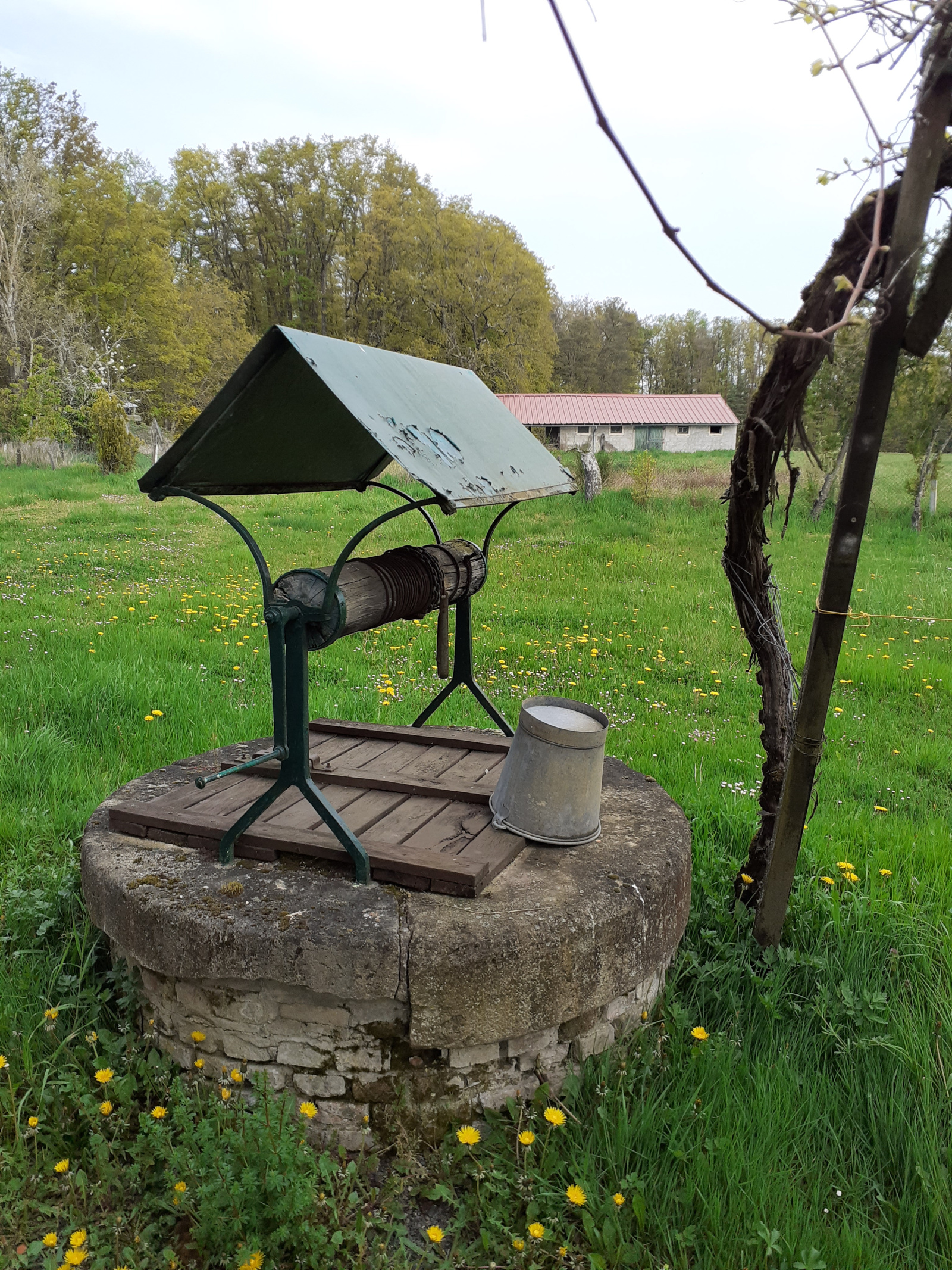 Image_, Maison, Serbannes, ref :1137