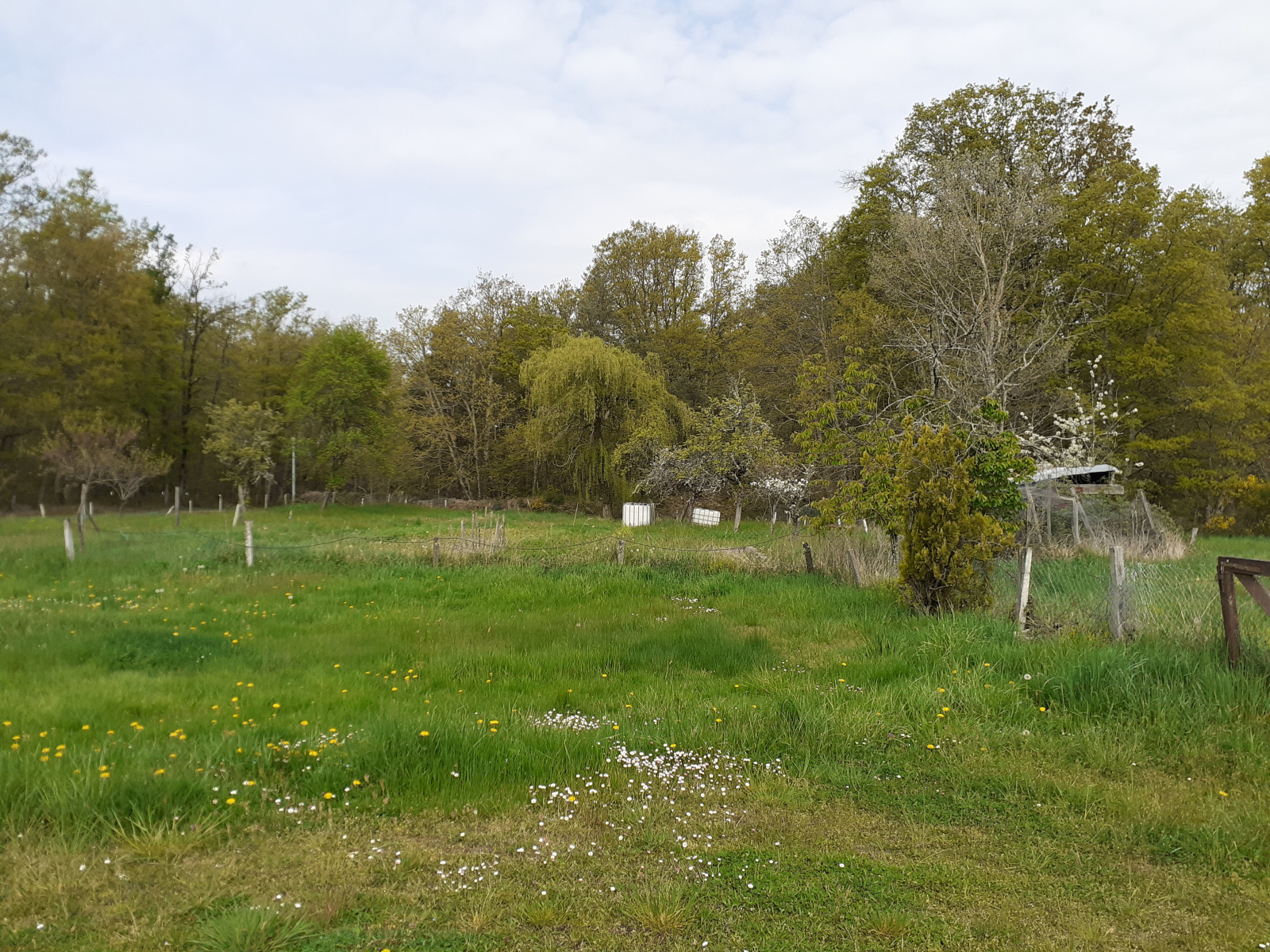 Image_, Maison, Serbannes, ref :1137