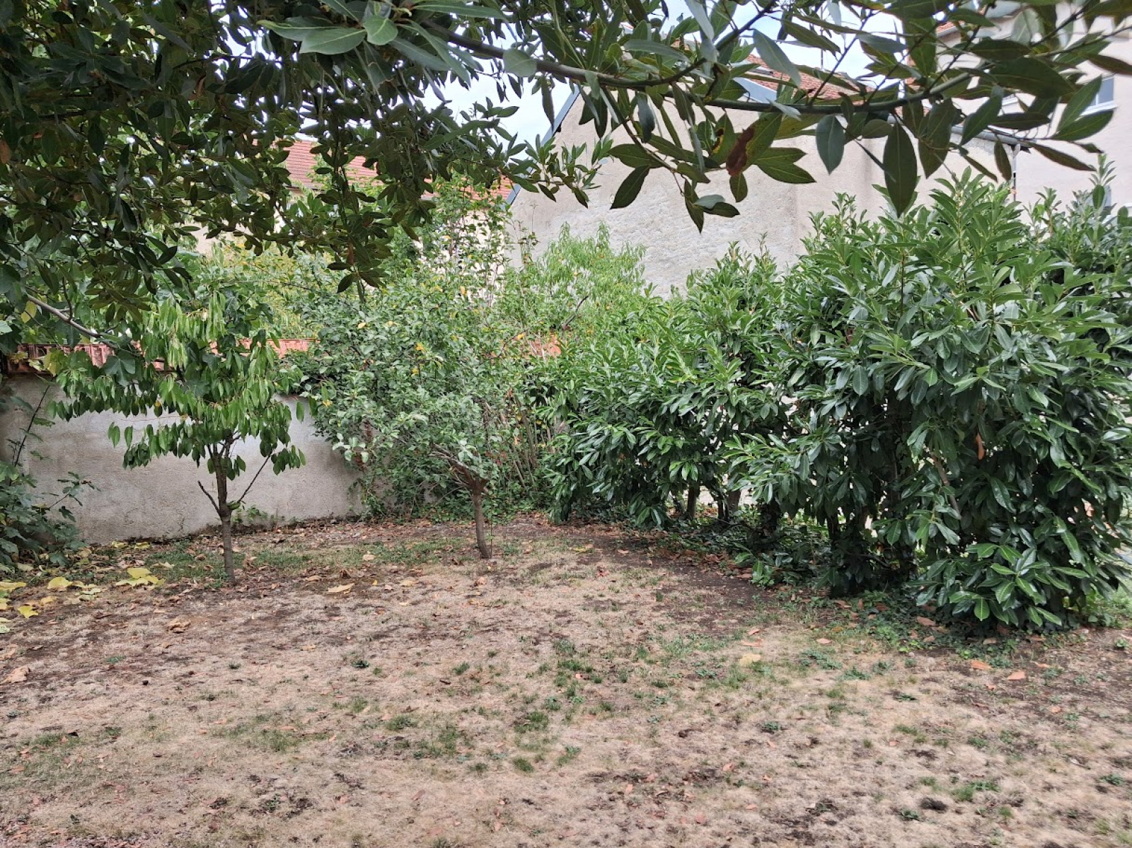 Image_, Maison, Vichy, ref :1273
