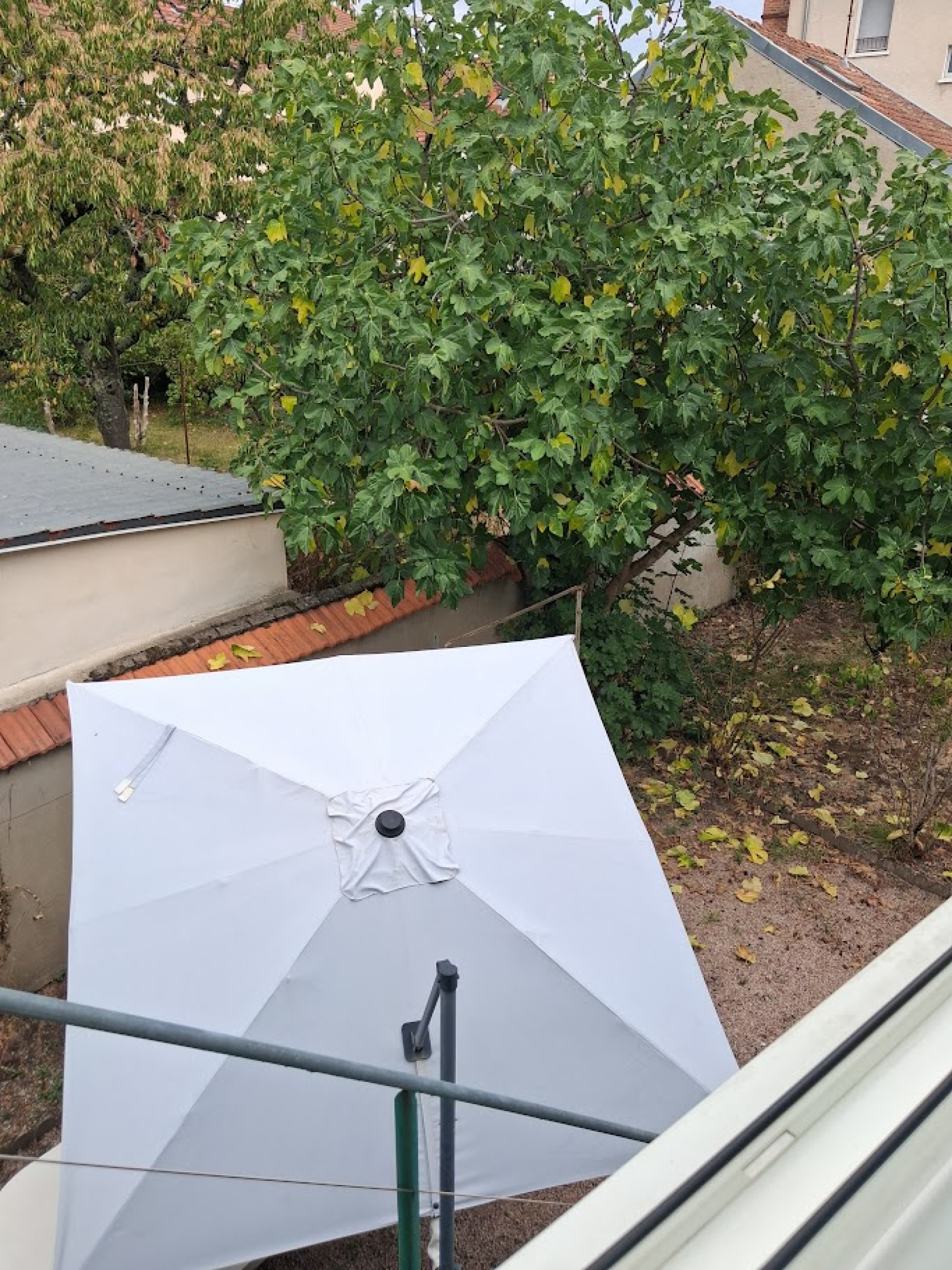 Image_, Maison, Vichy, ref :1273