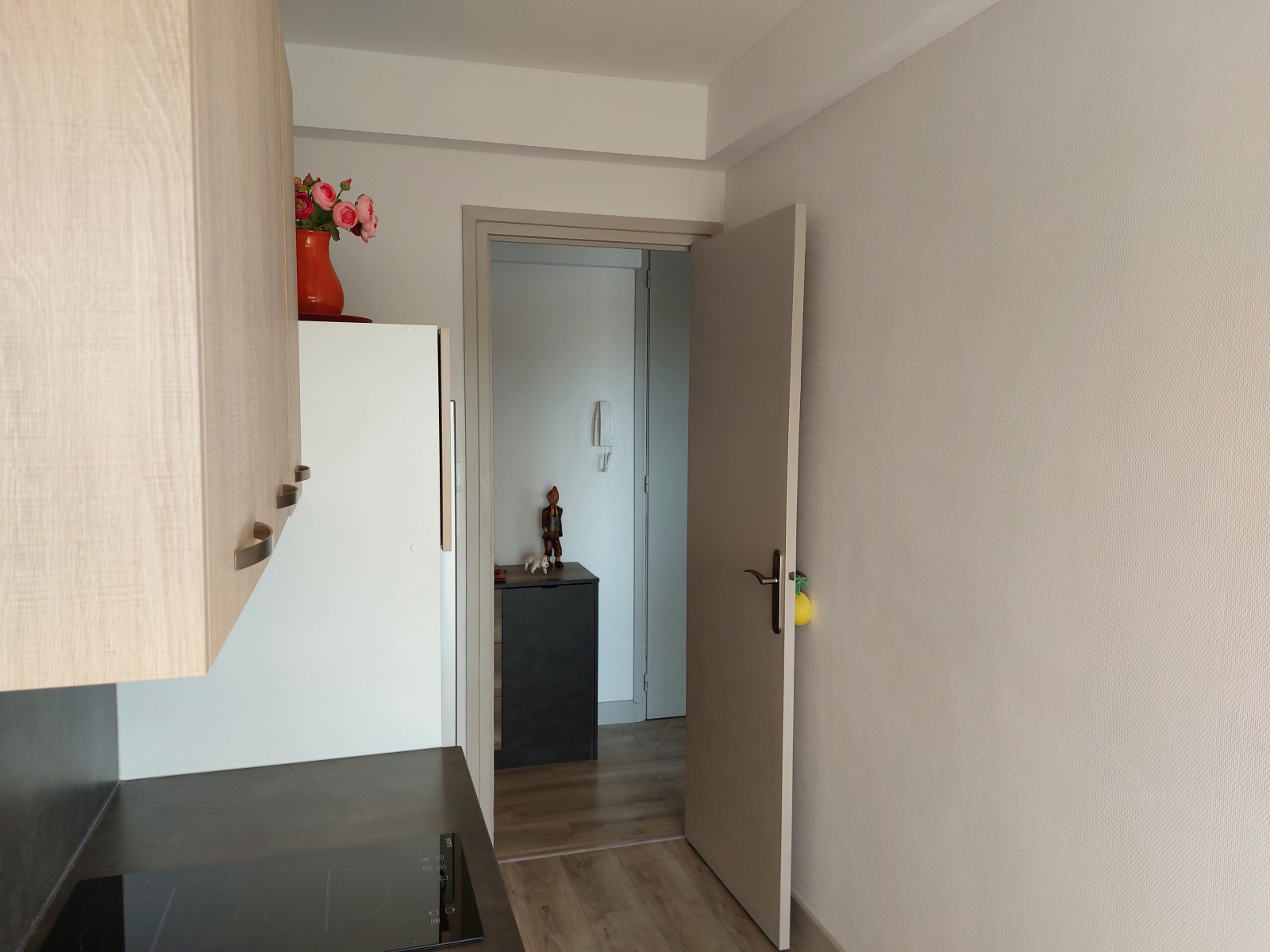 Image_, Appartement, Vichy, ref :1245