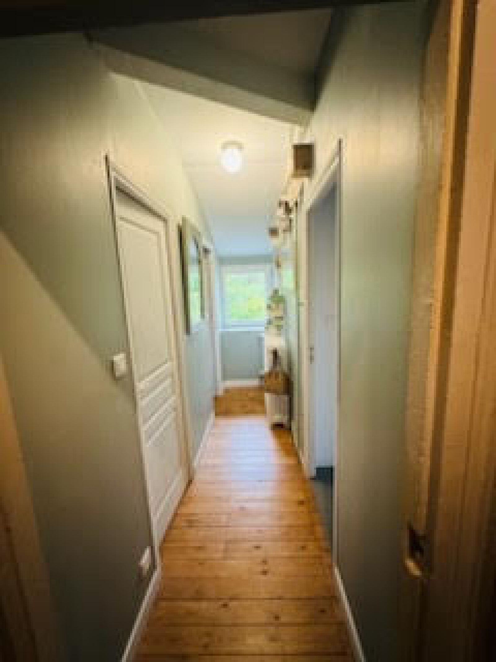 Image_, Maison, Cusset, ref :1267