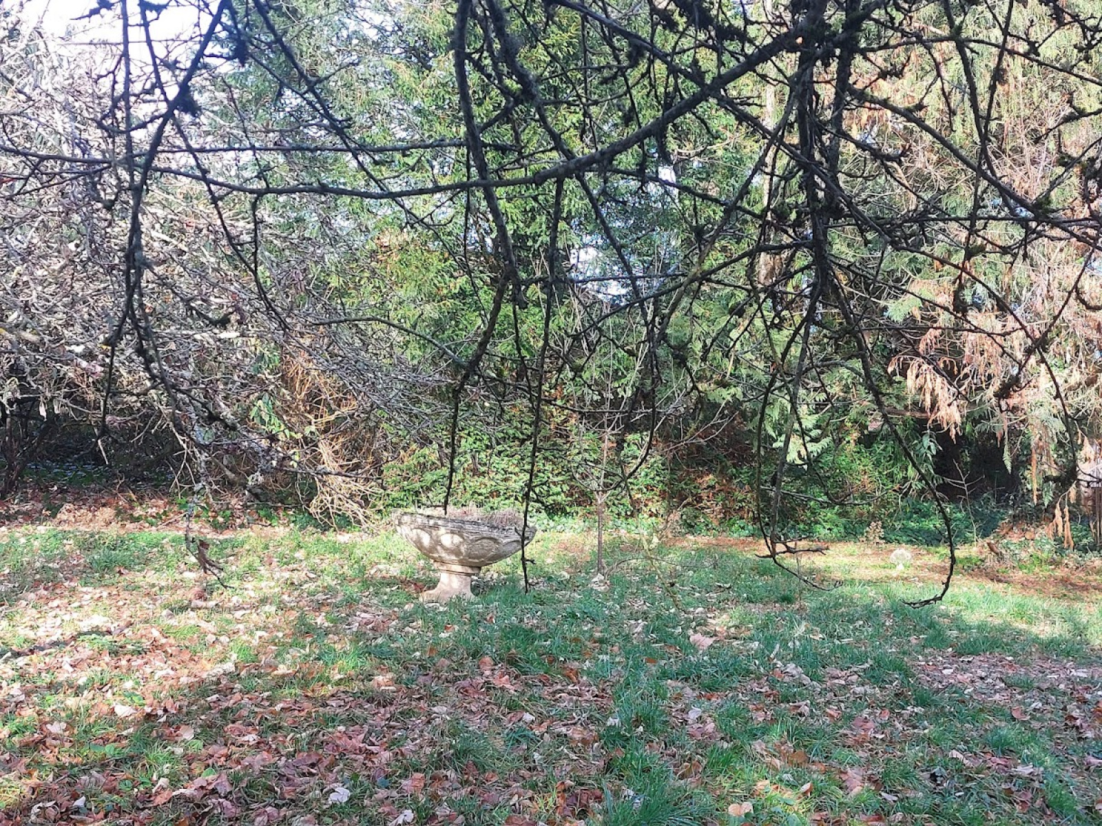 Image_, Propriete, Busset, ref :1266