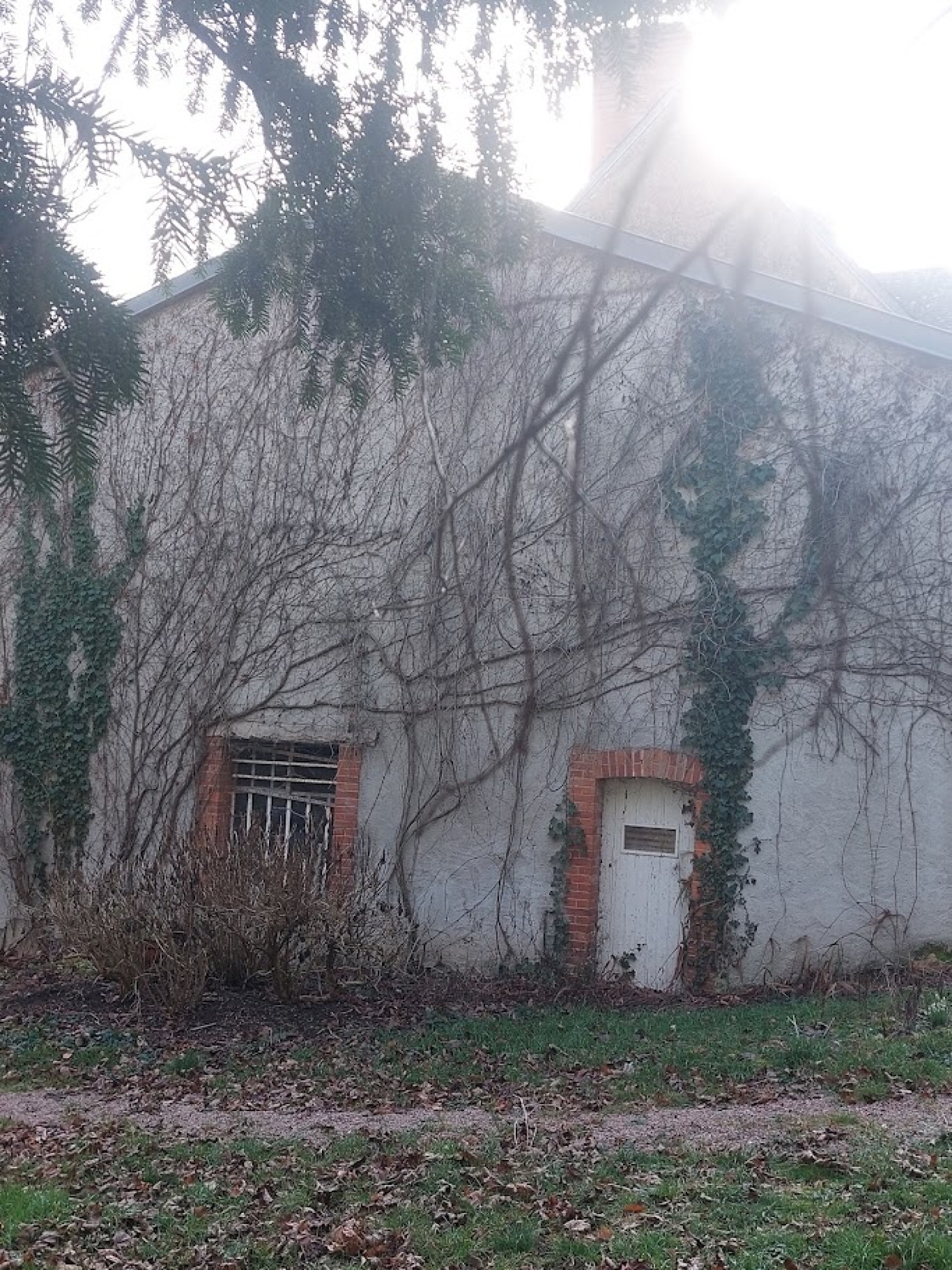 Image_, Propriete, Busset, ref :1266