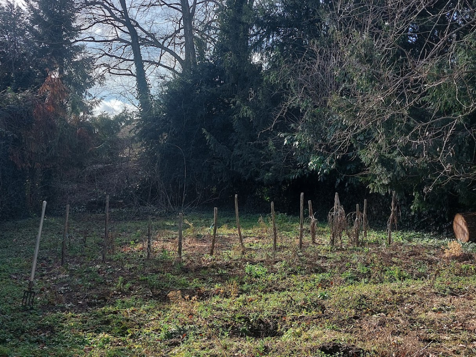 Image_, Propriete, Busset, ref :1266