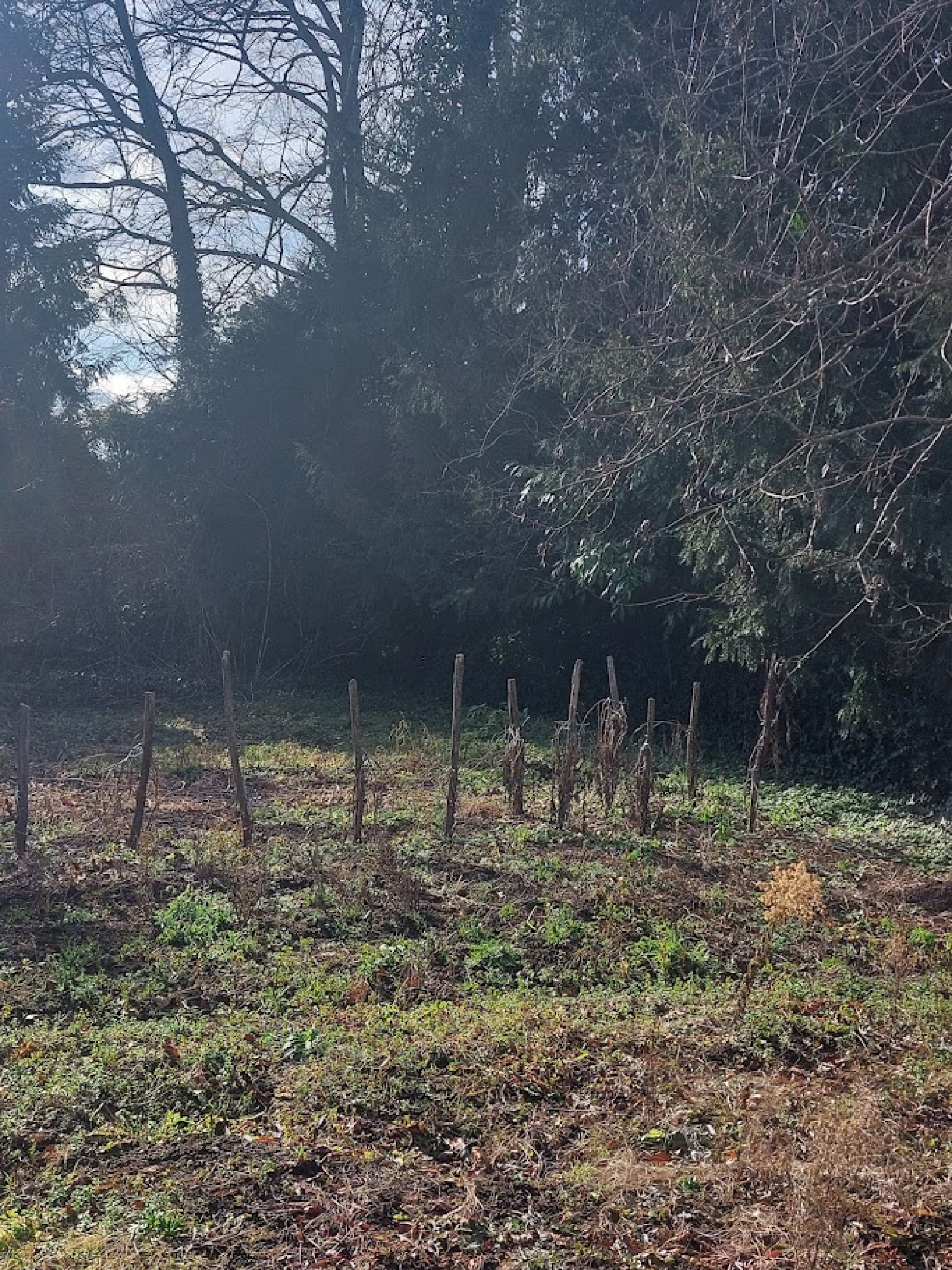 Image_, Propriete, Busset, ref :1266