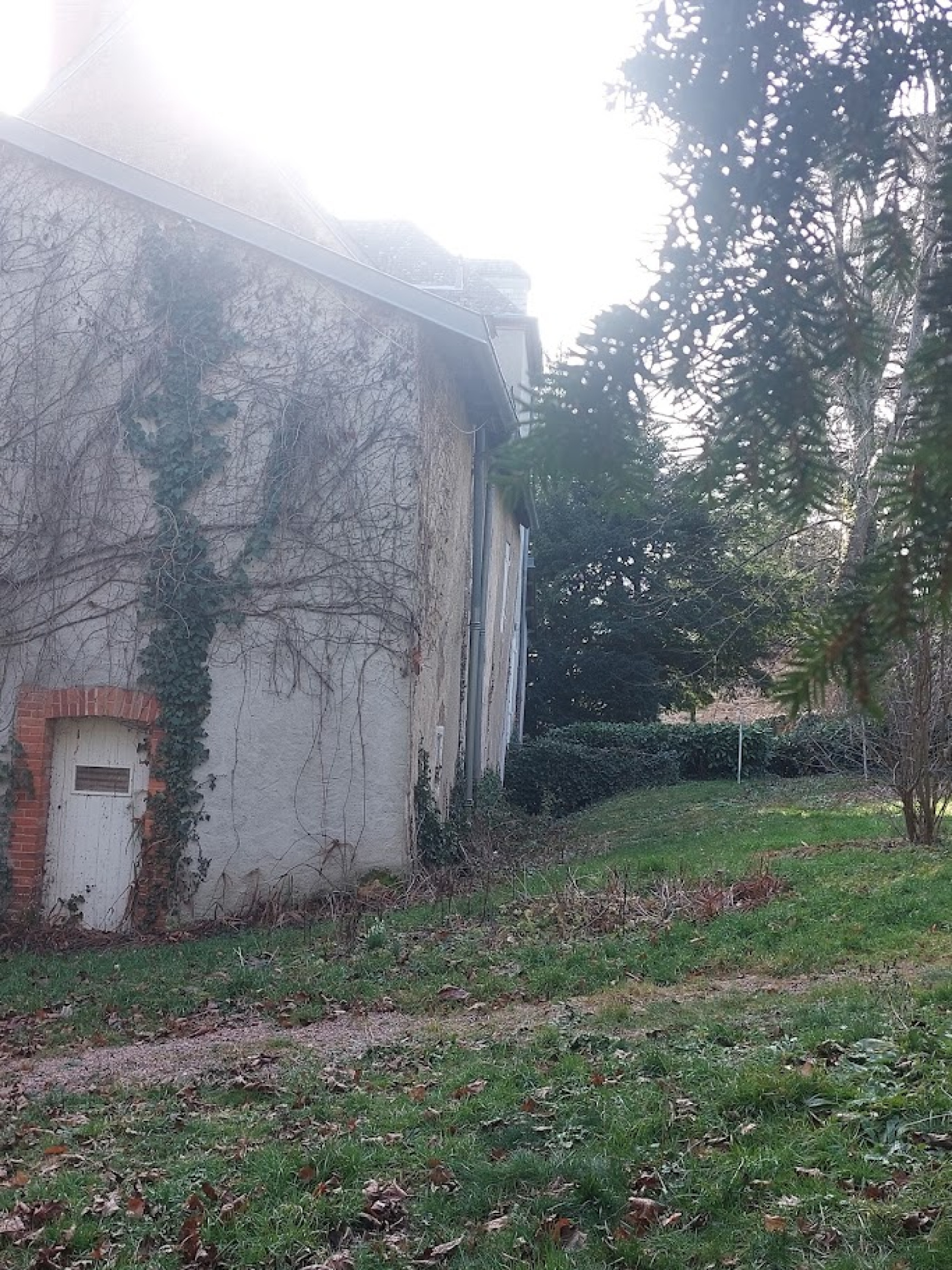 Image_, Propriete, Busset, ref :1266