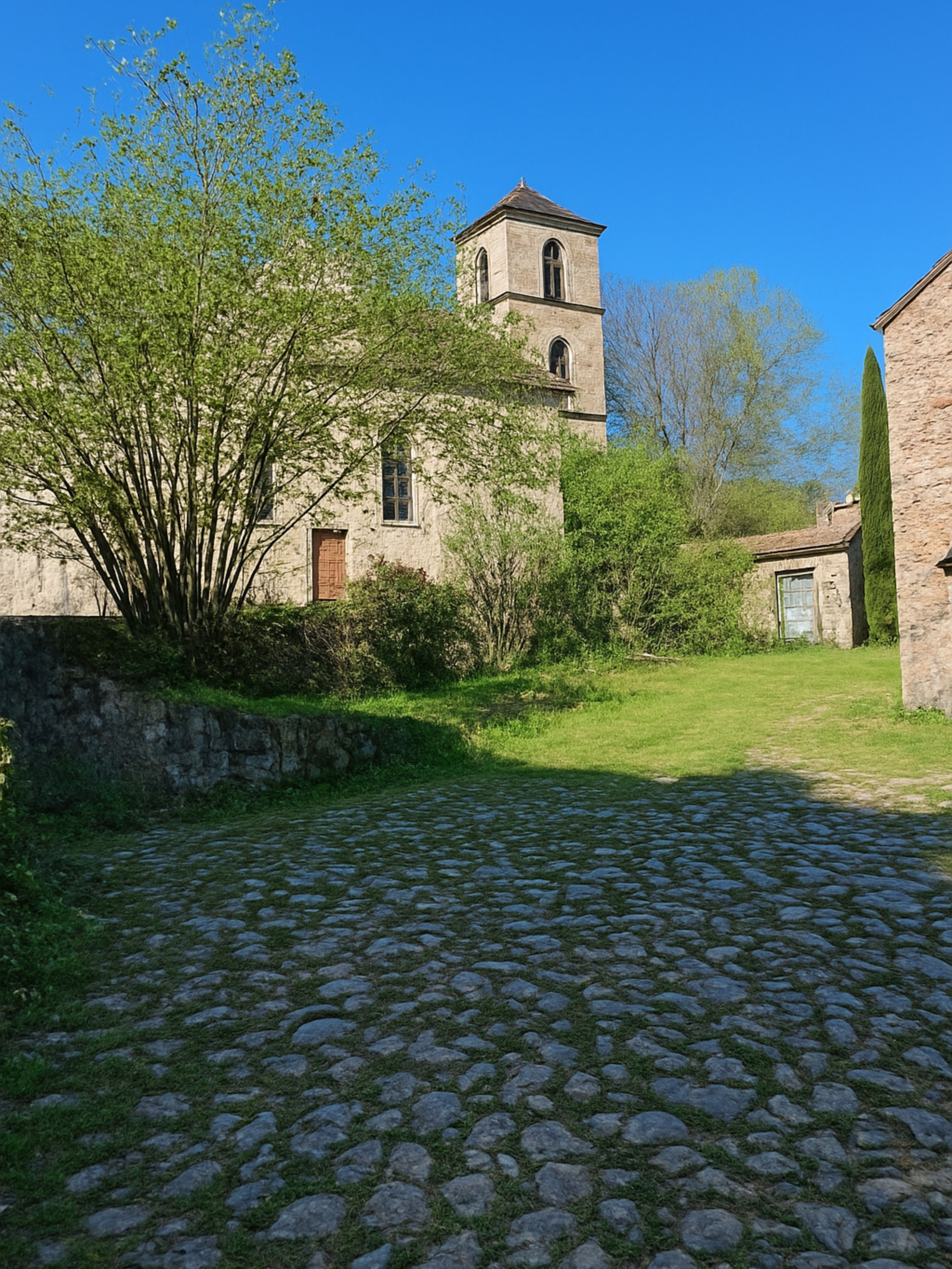 Image_, Maison, Busset, ref :1269