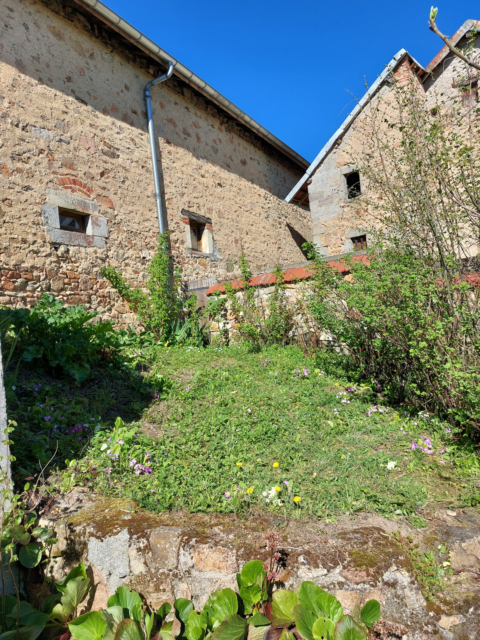 Image_, Maison, Busset, ref :1269