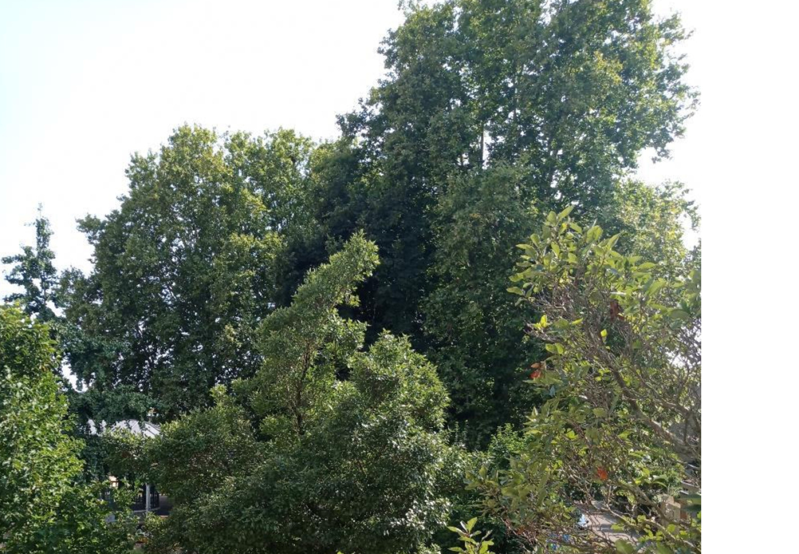Image_, Appartement, Vichy, ref :1256