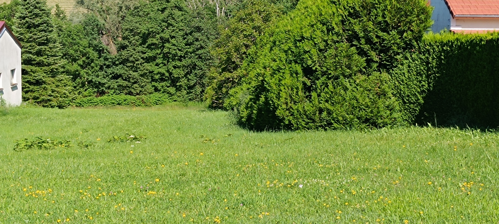 Agence immobilière de Actice Immobilier